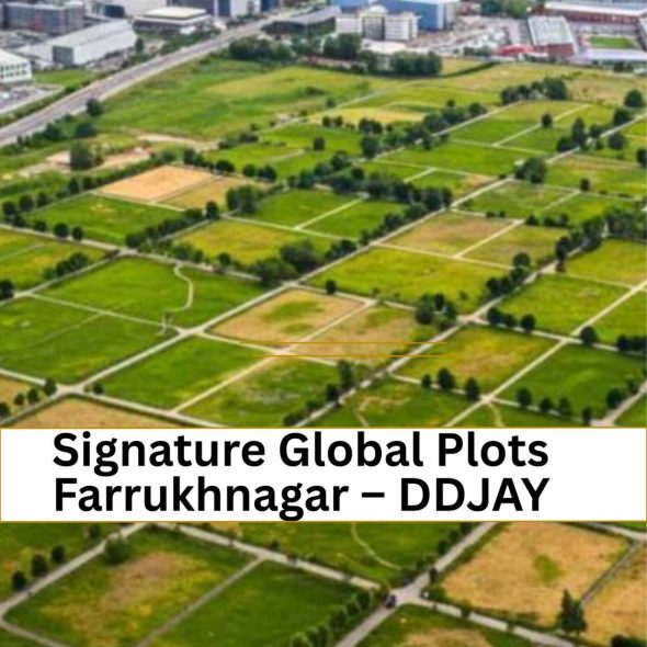 ddjay farukhnagar
